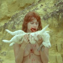 Animal político: una scena del film