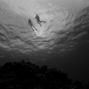 Live Cargo: una suggestiva scena subacquea del film