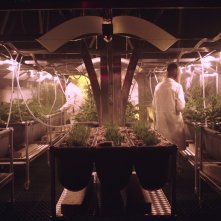 Mars: un'immagine dedicata all'agricoltura su Marte