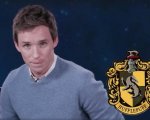 Harry Potter, Eddie Redmayne: 'Basta pregiudizi nei confronti di Tassorosso!