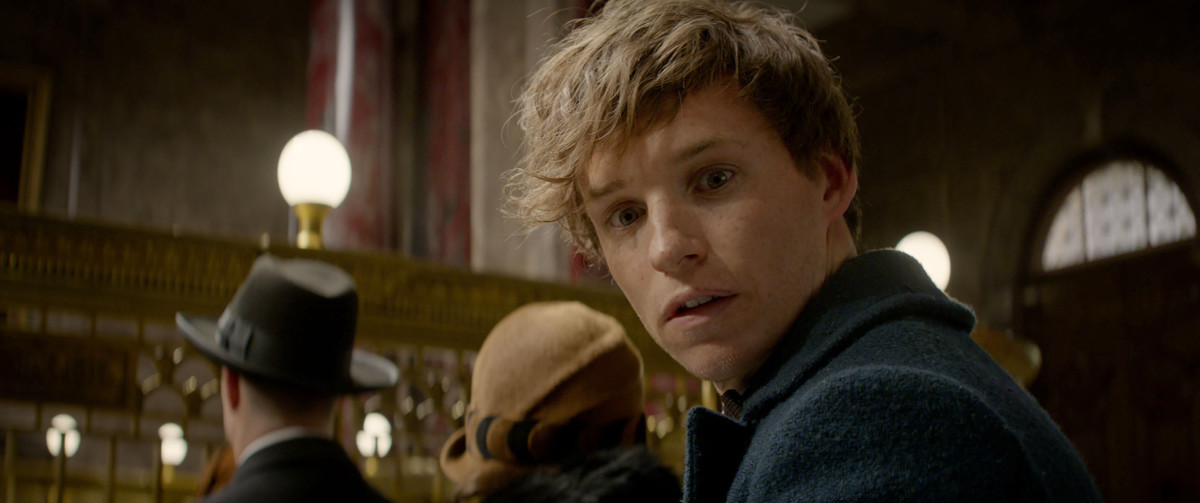 Video) Harry Potter: Perchè Newt Scamander era presente nella