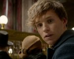 Newt Scamander era nei film di Harry Potter? 