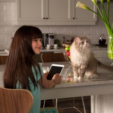 Una vita da gatto: Malina Weissman in una scena del film