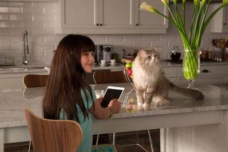 Una vita da gatto: Malina Weissman in una scena del film