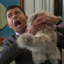 Una vita da gatto: Mark Consuelos in una scena del film