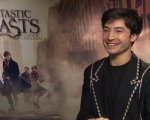 Ezra Miller tra Animali Fantastici e umani catastrofici: 'Il meteorite sta arrivando e siamo noi'