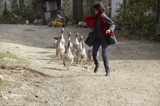 Il medico di campagna: Marianne Denicourt in un momento del film