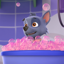 Paw Patrol: un'immagine tratta dalla serie animata