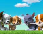 PAW Patrol: gli amatissimi cuccioli coraggiosi presentano il loro film
