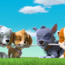 Paw Patrol: un'immagine della serie animata