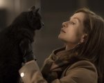 Elle e il nuovo film di Woody Allen tra i prossimi film in uscita per Lucky Red