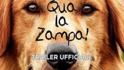 Qua la zampa! - Trailer italiano 