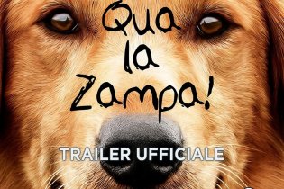 Qua la zampa! - Trailer italiano 