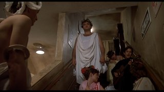 Animal House: una scena del Toga party