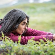 Midnight Sun - una immagine del pilot