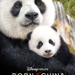 Locandina di Born in China