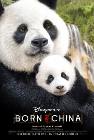 Locandina di Born in China