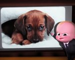 Baby Boss: il nuovo trailer del film animato, anche in italiano