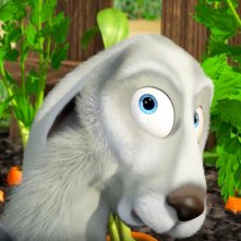 Masha e orso - Nuovi amici: un'immagine del film animato