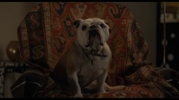 Paterson - Trailer italiano