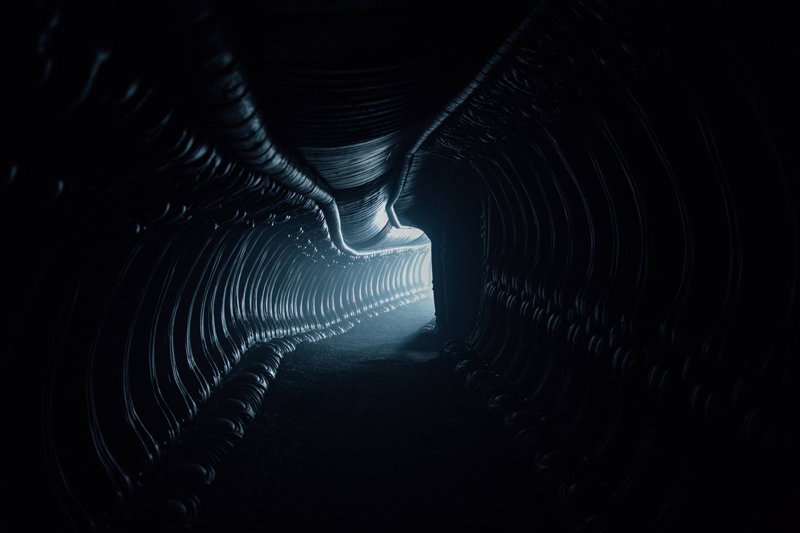 Alien: Covenant - Una nuova foto del film