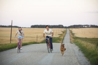 Qua la zampa!: Britt Robertson e Luke Kirby in una scena del film