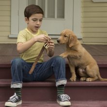 Qua la zampa!: Bryce Gheisar in una scena del film