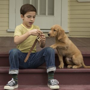 Qua la zampa!: Bryce Gheisar in una scena del film