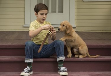Qua la zampa!: Bryce Gheisar in una scena del film