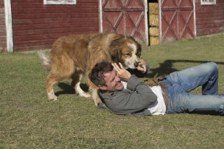 Qua la zampa!: Dennis Quaid in una scena del film