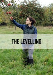 Locandina di The Levelling