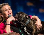Carrie Fisher: la vera storia dell'account Twitter del bulldog Gary