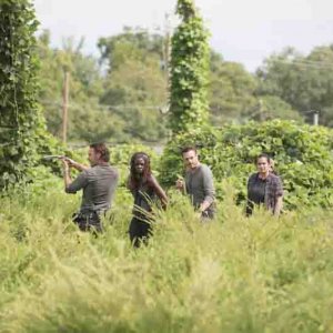 The Walking Dead: Andrew Lincoln, Danai Gurira, Ross Marquand e Alanna Masterson in una foto del nono episodio