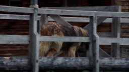 Un passo dal cielo 4 - Clip 5