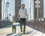 John Wick 2: nella prima clip John Wick è tornato e ha un nuovo cane!