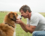 Qua la zampa: lacrime facili per gli amanti dei cani