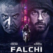 Locandina di Falchi