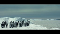 La marcia dei pinguini il richiamo - Trailer italiano