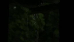 David Lynch: The Art Life - Trailer