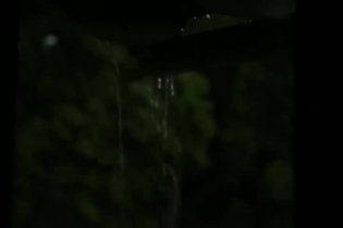 David Lynch: The Art Life - Trailer