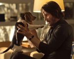 Dog Wick: nella video parodia di John Wick il cane si vendica! 