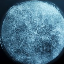 A Good American: una scena del documentario