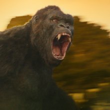 Kong: Skull Island - La foto del mostro