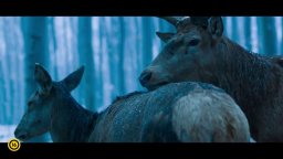 On Body and Soul - Trailer