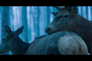 On Body and Soul - Trailer