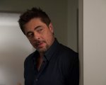 Benicio del Toro: i 50 anni del lupo solitario di Hollywood