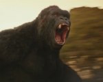 Kong: Skull Island, una scena post-credits lo collegherà a Godzilla: King of Monsters?