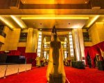 Oscar 2017: La nostra diretta e il red carpet in streaming