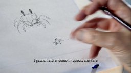 La Tartaruga Rossa - Intervista Esclusiva