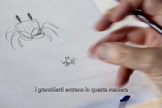 La Tartaruga Rossa - Intervista Esclusiva